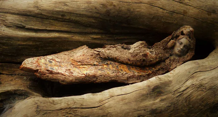 162 Stunning Driftwood Sculptures By Debra Bernier Tell The Forgotten Stories Of The Ocean