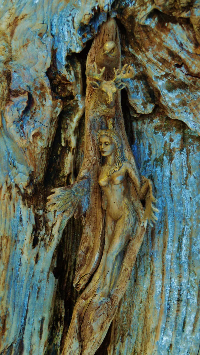 162 Stunning Driftwood Sculptures By Debra Bernier Tell The Forgotten Stories Of The Ocean