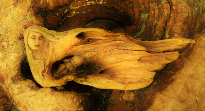 162 Stunning Driftwood Sculptures By Debra Bernier Tell The Forgotten Stories Of The Ocean