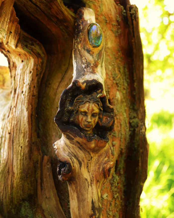 162 Stunning Driftwood Sculptures By Debra Bernier Tell The Forgotten Stories Of The Ocean