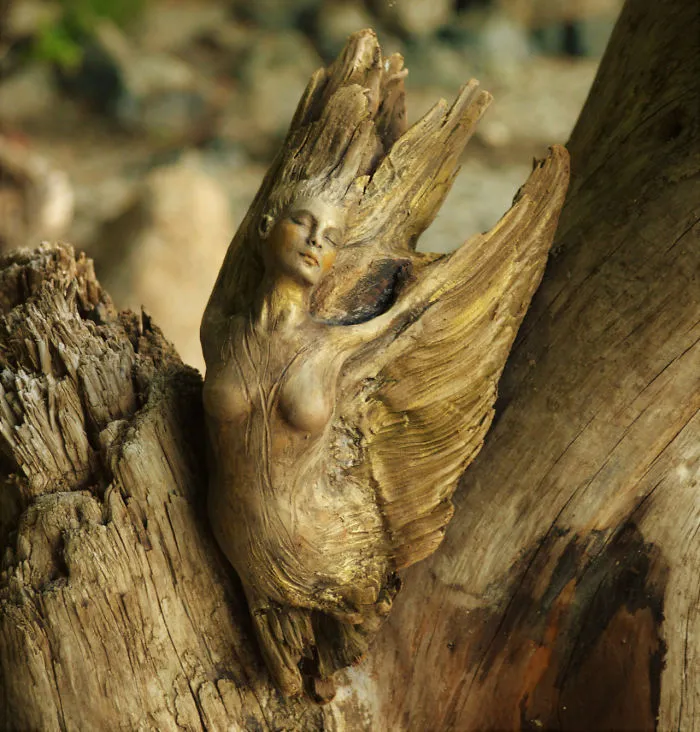 162 Stunning Driftwood Sculptures By Debra Bernier Tell The Forgotten Stories Of The Ocean
