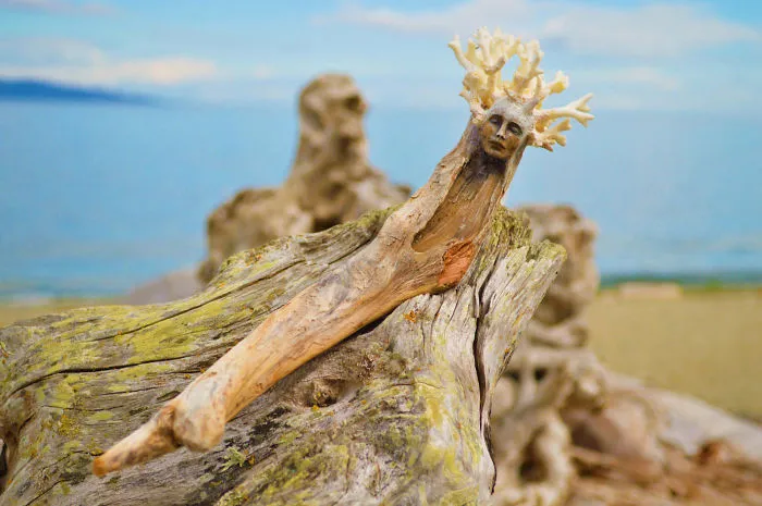 162 Stunning Driftwood Sculptures By Debra Bernier Tell The Forgotten Stories Of The Ocean