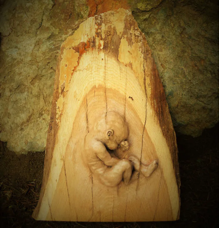 162 Stunning Driftwood Sculptures By Debra Bernier Tell The Forgotten Stories Of The Ocean