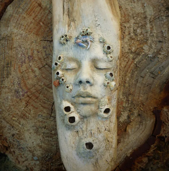 162 Stunning Driftwood Sculptures By Debra Bernier Tell The Forgotten Stories Of The Ocean
