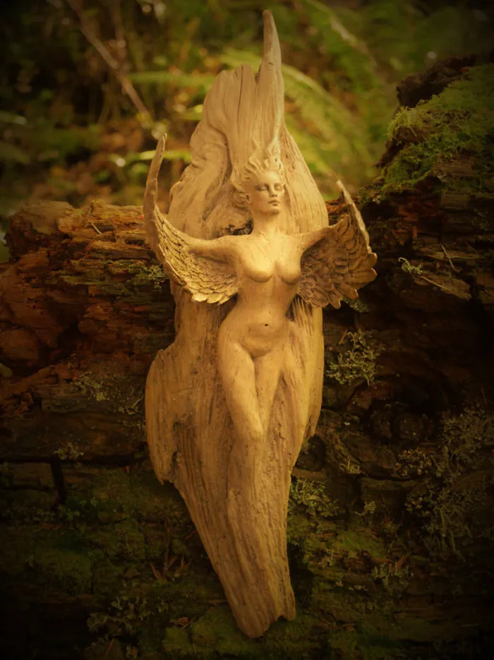 162 Stunning Driftwood Sculptures By Debra Bernier Tell The Forgotten Stories Of The Ocean
