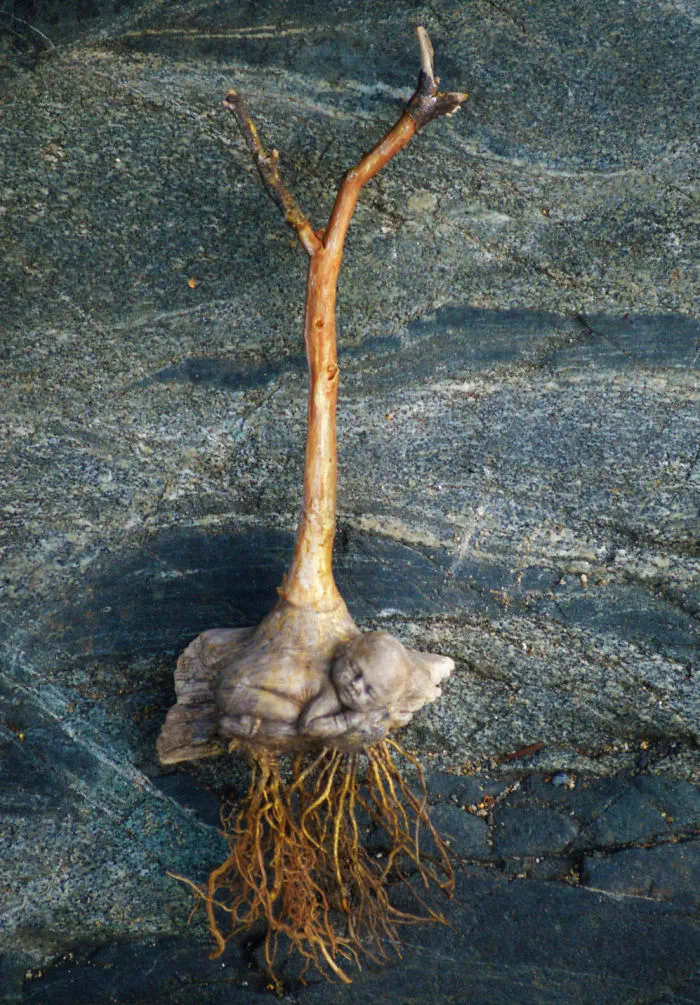 162 Stunning Driftwood Sculptures By Debra Bernier Tell The Forgotten Stories Of The Ocean