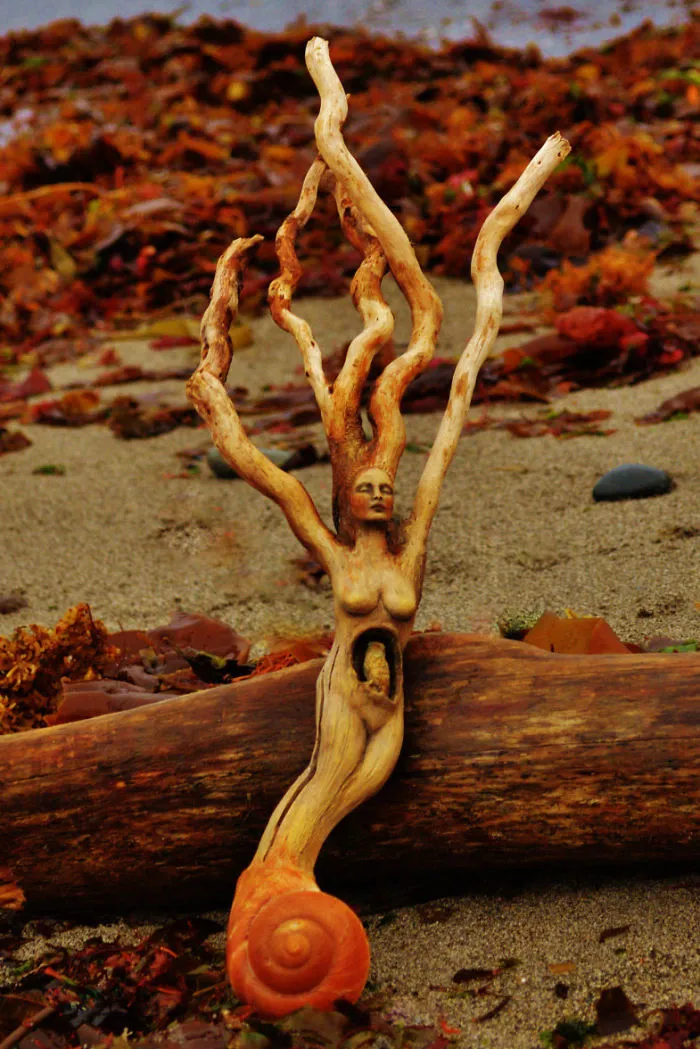 162 Stunning Driftwood Sculptures By Debra Bernier Tell The Forgotten Stories Of The Ocean