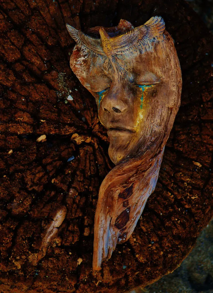 162 Stunning Driftwood Sculptures By Debra Bernier Tell The Forgotten Stories Of The Ocean
