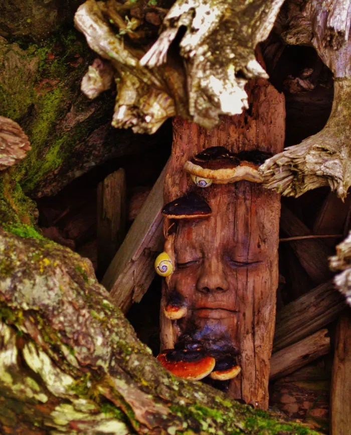 162 Stunning Driftwood Sculptures By Debra Bernier Tell The Forgotten Stories Of The Ocean