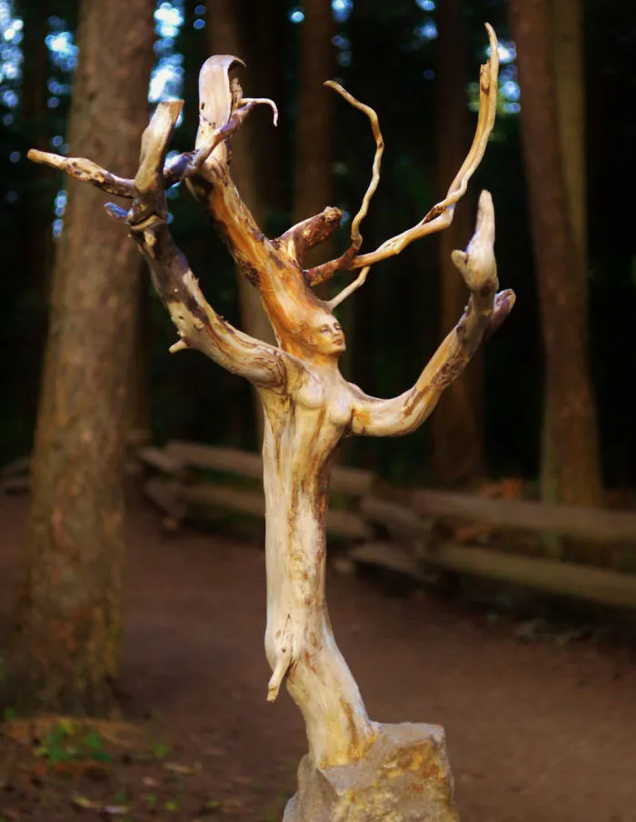 162 Stunning Driftwood Sculptures By Debra Bernier Tell The Forgotten Stories Of The Ocean