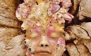 162 Stunning Driftwood Sculptures By Debra Bernier Tell The Forgotten Stories Of The Ocean