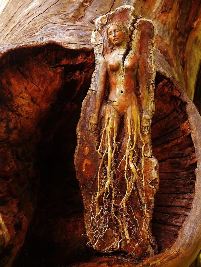 162 Stunning Driftwood Sculptures By Debra Bernier Tell The Forgotten Stories Of The Ocean