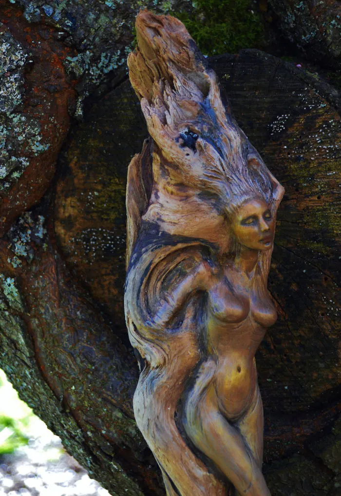 162 Stunning Driftwood Sculptures By Debra Bernier Tell The Forgotten Stories Of The Ocean