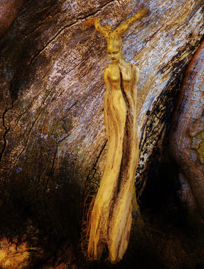 162 Stunning Driftwood Sculptures By Debra Bernier Tell The Forgotten Stories Of The Ocean