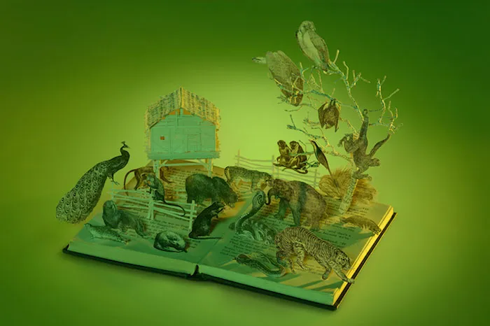 Old Books Turned Into Fairytale Sculptures By Su Blackwell