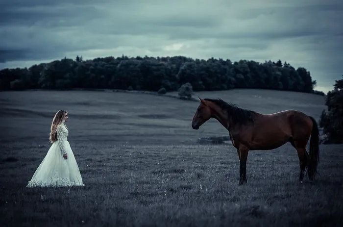 I Shoots Models In Creepy Old Wedding Dresses.