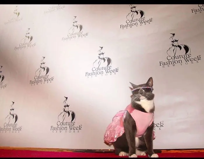 Fashion Week