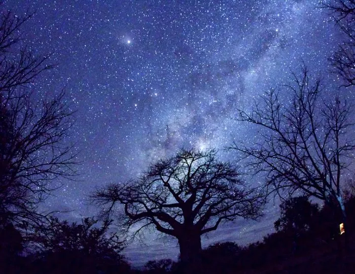 Milky Stars