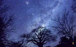 Milky Stars