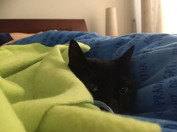My Toñita