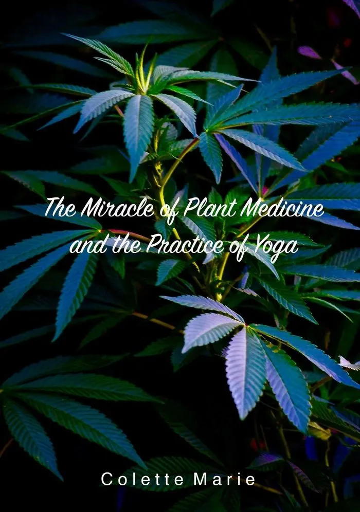 The Miracle Of Plant Medicine And The Practice Of Yoga