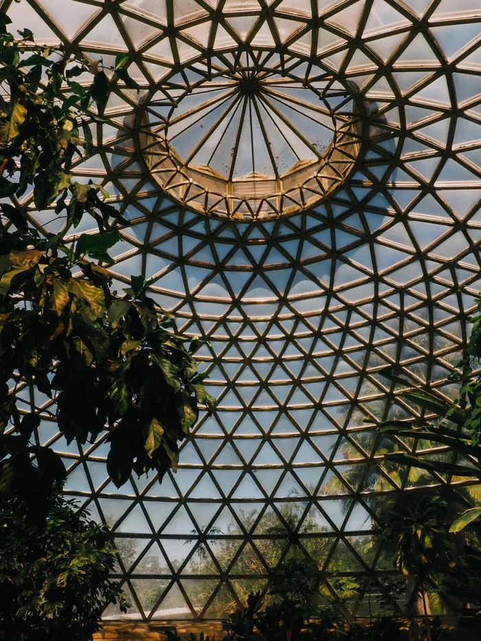 Sunday At The Botanic Gardens In Brisbane