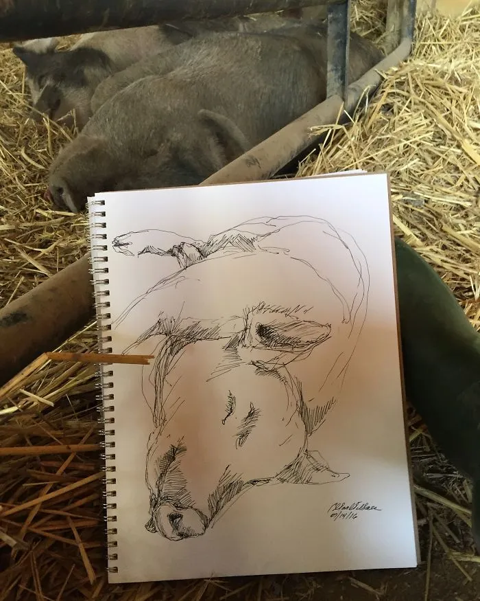 Paintings Of The Animals Of Woodstock Farm Animal Sanctuary