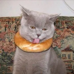 Crazy Bagel