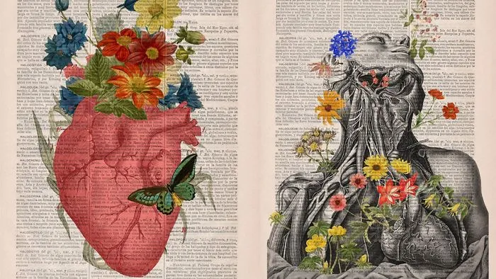 Beautiful Floral Anatomy Illustrations
