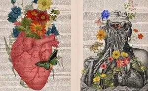 Beautiful Floral Anatomy Illustrations