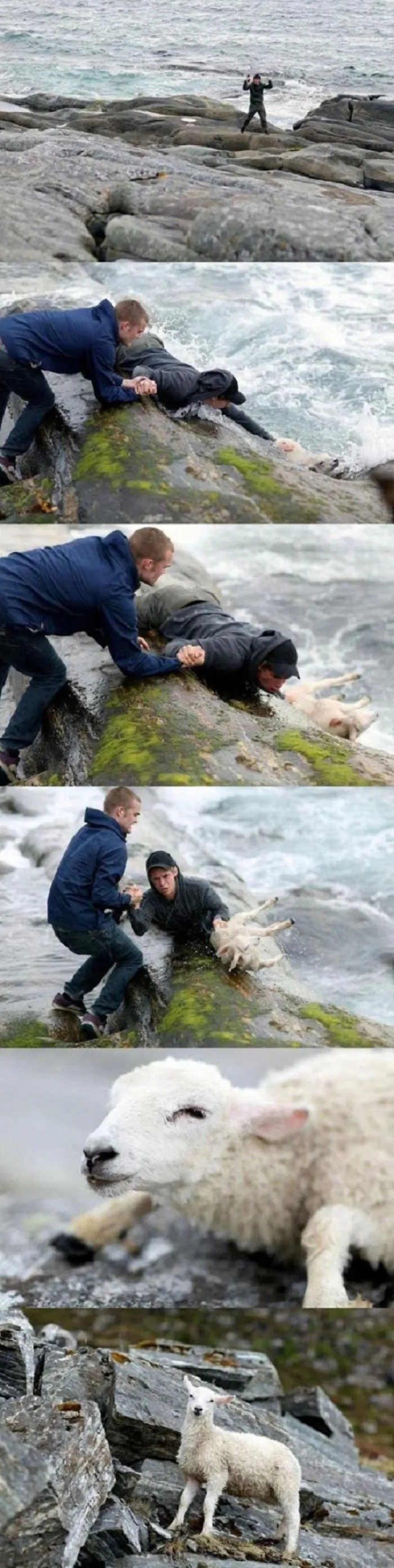 People Proving Her Love For Animals