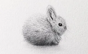 I Gave Up My Career To Raise A Family And To Stay Creative I Started Drawing Miniatures Every Day