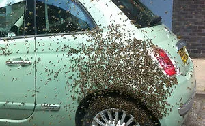 237 People Who Are Having A Worse Day Than You