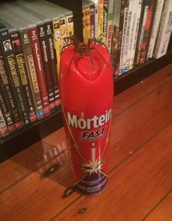 M*erda