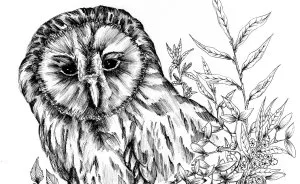 I Merge Animals And Plants Into One Drawing