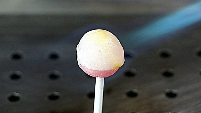 8 Ball, Gummy Bear, Lollipop Vs Gas Torch