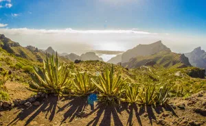 I Went On A 3-Month-Long Solo Adventure In Tenerife