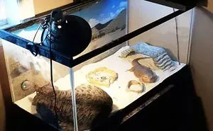 50 Pics That Prove Cats Can Sleep Purrretty Much Anywhere