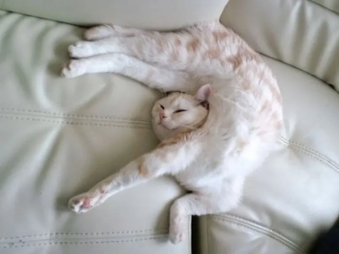 Comfy Like This