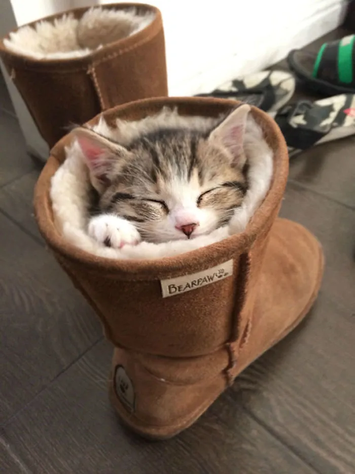 Nap Time