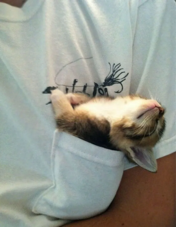 Sleeping Beauty