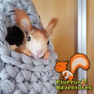 Fluffys Adventures