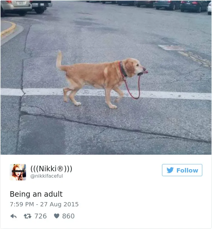 62 Hilariously Sad Adulthood Tweets That Will Make You Laugh Then Cry