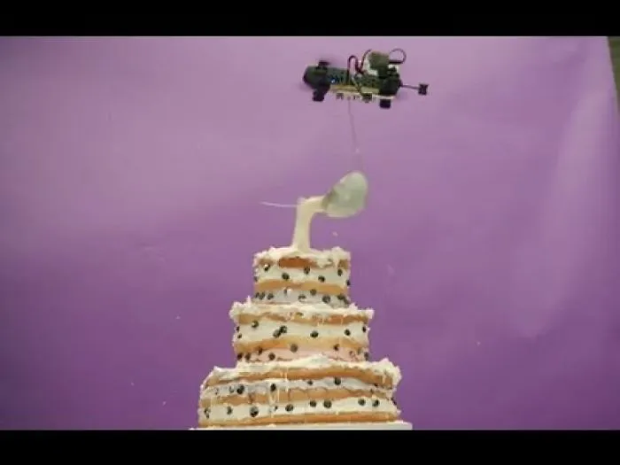 I Found A Cake Made By Drones