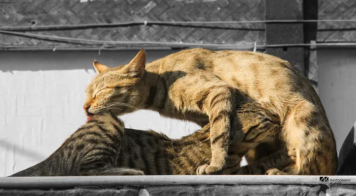 A Mother's Love To Her Child