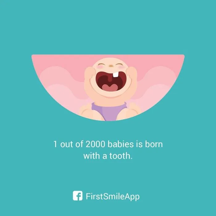 12 Weird Pregnancy Facts That You Probably Didn't Know