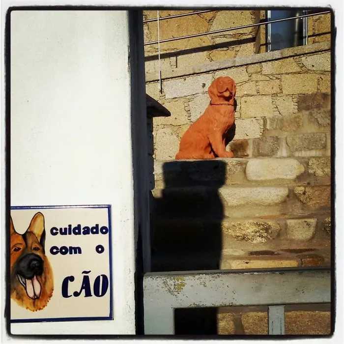 47 Dangerous Dogs Behind Beware Of Dog" Signs"
