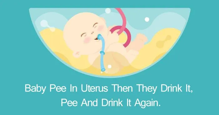 12 Weird Pregnancy Facts That You Probably Didn't Know