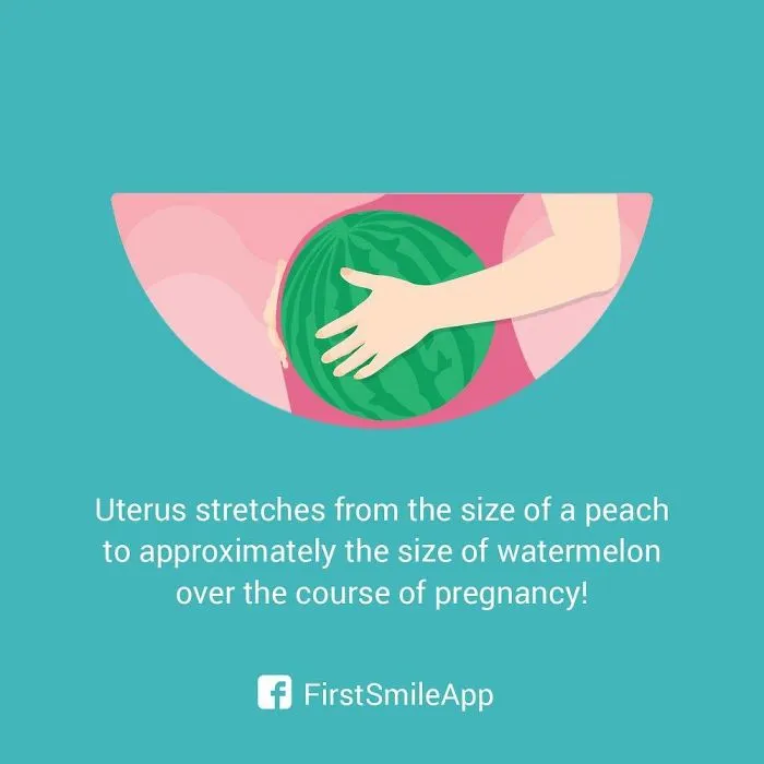 12 Weird Pregnancy Facts That You Probably Didn't Know