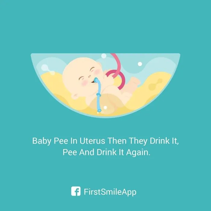 12 Weird Pregnancy Facts That You Probably Didn't Know